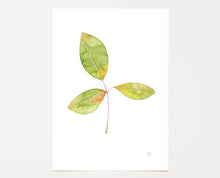 Load image into Gallery viewer, Simple Leaf Painting - Watercolour original, green gold botanical art, nature inspired, hallway art, unique gift, calming artwork
