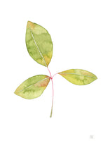 Load image into Gallery viewer, Simple Leaf Painting - Watercolour original, green gold botanical art, nature inspired, hallway art, unique gift, calming artwork